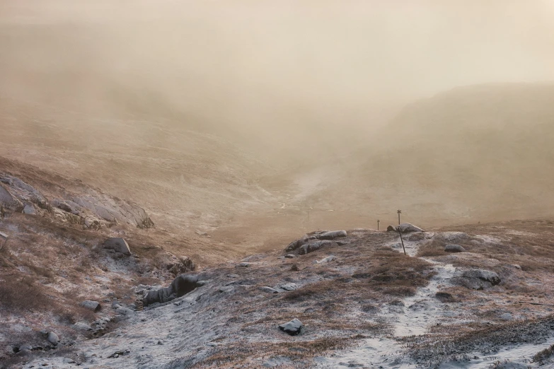 a lone animal on the side of a snowy mountain