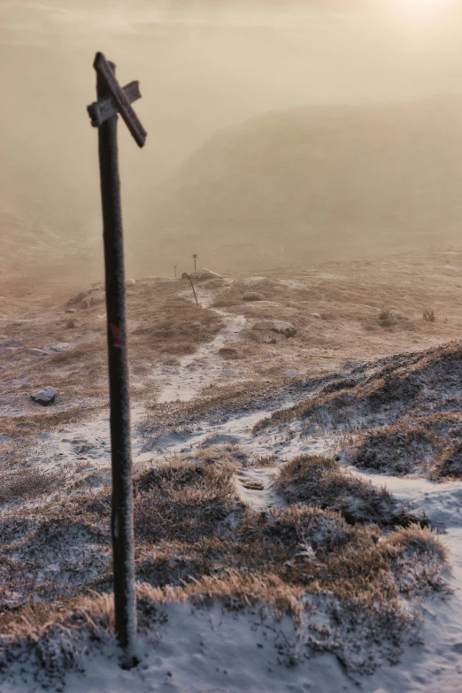 cross marks are standing in a field with the sun setting