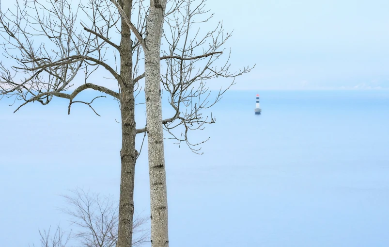 a lighthouse stands out from the ocean with a view of snow covered trees