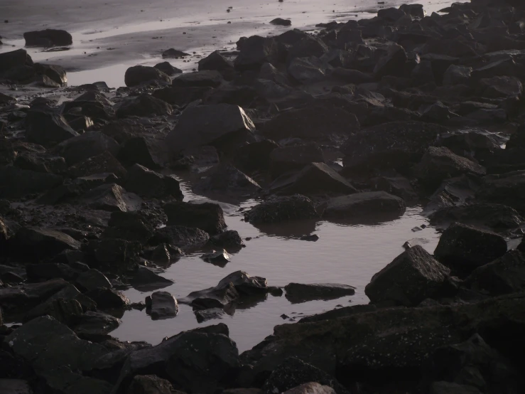 rocks and water by the ocean during a cloudy day