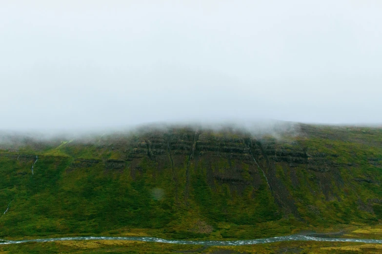 a foggy landscape with two cows standing on the grass