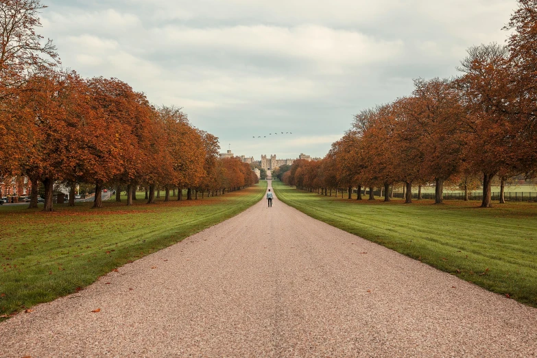 a person walking on a paved road surrounded by trees