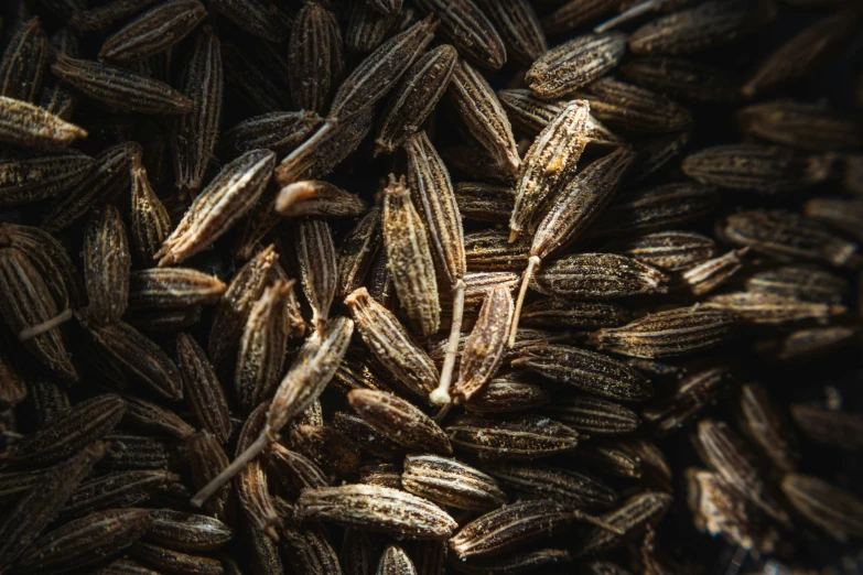 a picture of a bunch of seeds that are brown