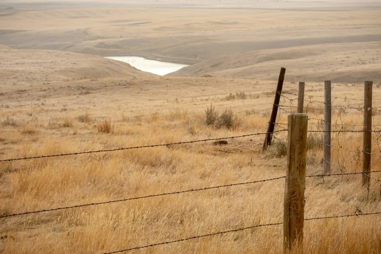 a farm with lots of brown grass and a lake on it