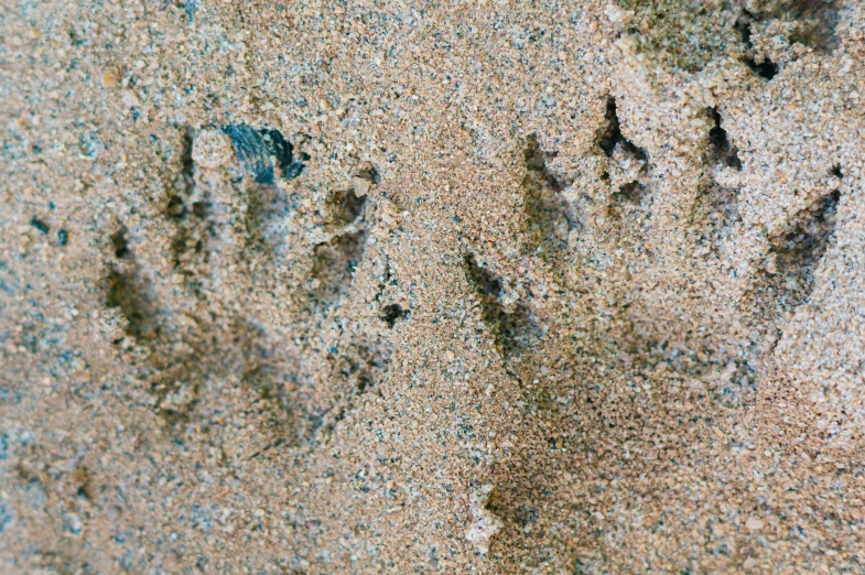 a couple of hand prints that are in the sand