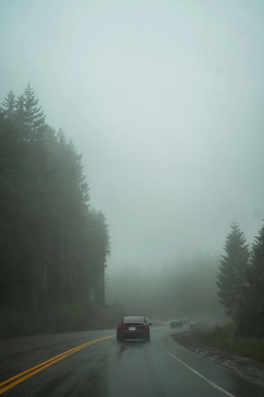 a car driving through the foggy forest