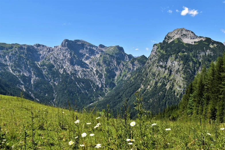 a view of a green valley in front of some mountains