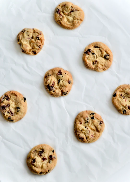 six cookies on a sheet of white paper