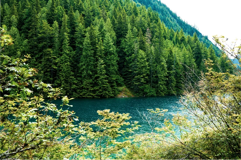 a scenic view of water and trees from near a lake