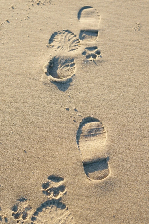 footprints are seen in the sand while a woman walks along
