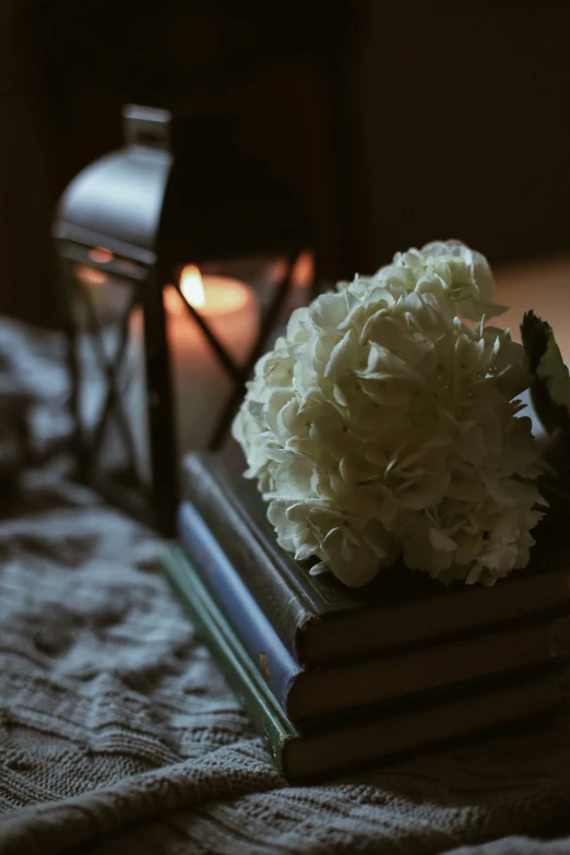 some flowers sitting on top of a pile of books next to a candle