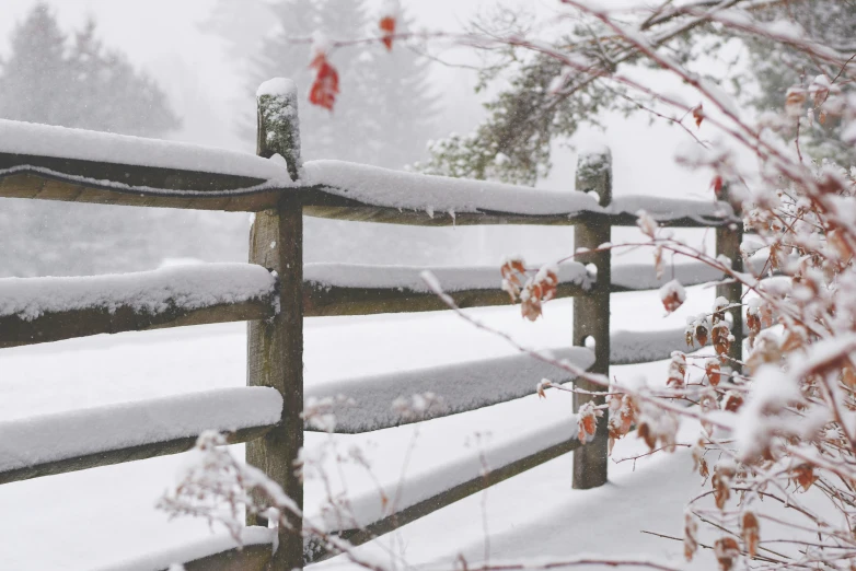 a snow covered fence sitting below a forest