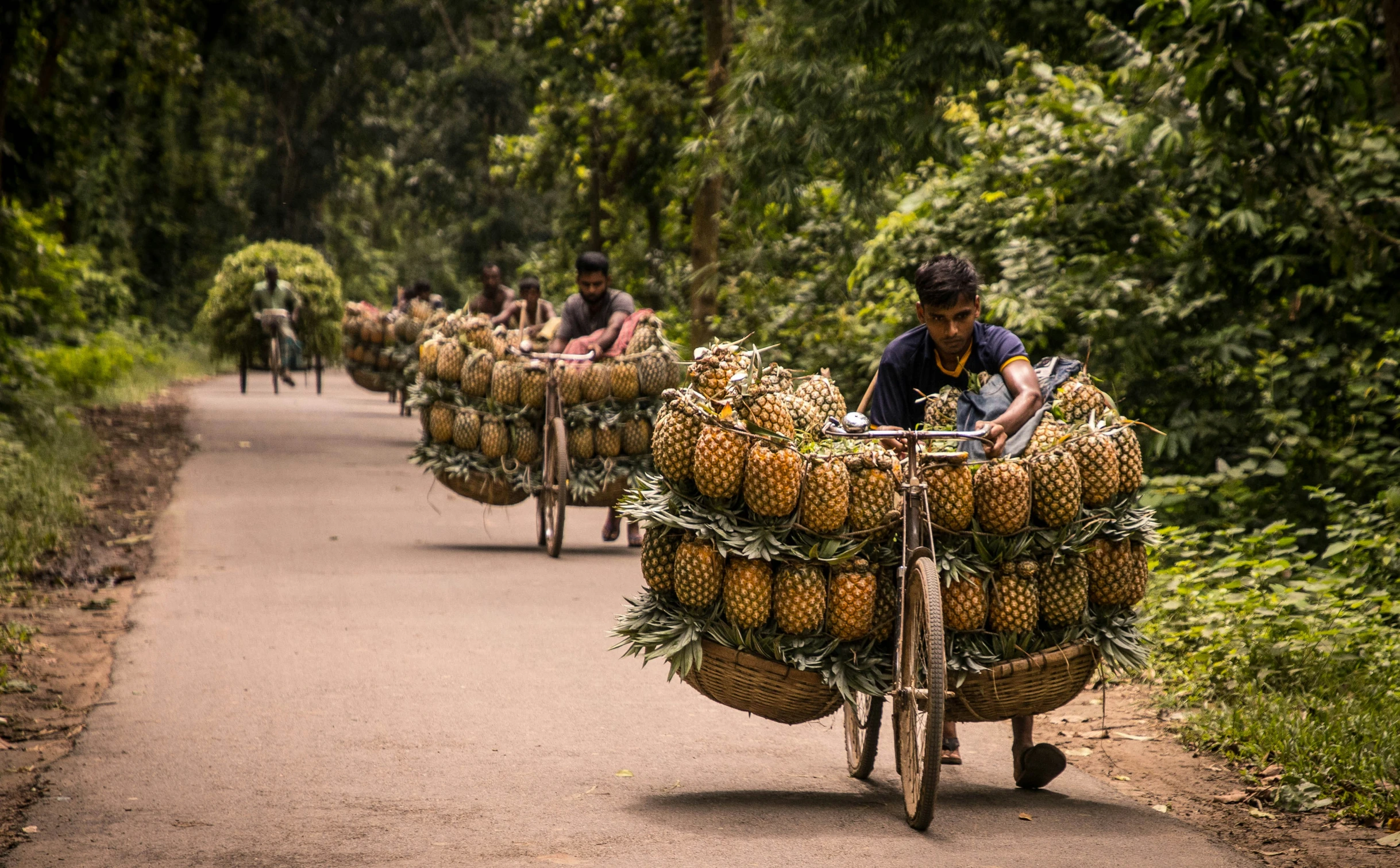 men are on bicycles loaded with fruit down a trail