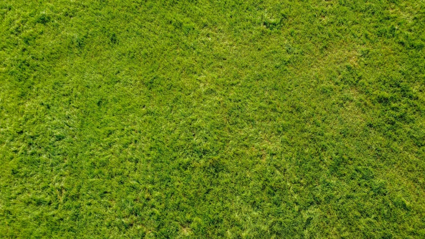 a bird's eye view of the top of a green grassy field