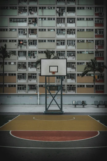a basketball goal outside a city with palm trees in the background