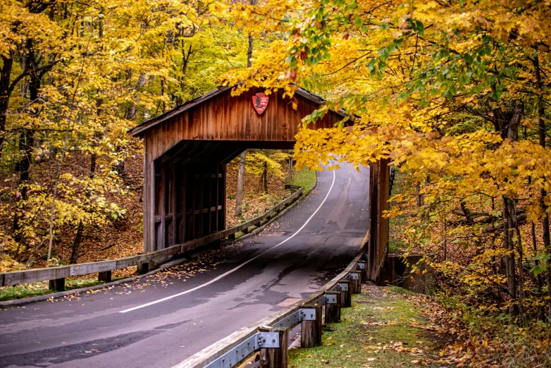 a bridge in the middle of a road with autumn foliage surrounding it