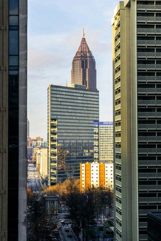 large skyscrs towering above city skyline with cars