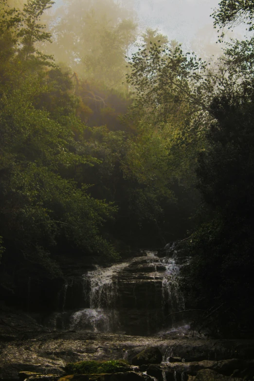 a mountain waterfall surrounded by trees in a foggy area