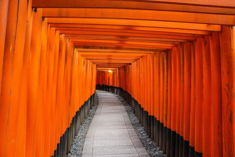 a long narrow hallway with a walkway going into the distance