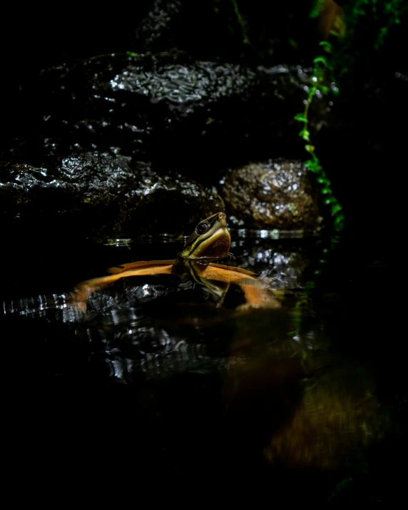 a dark background with a stream coming out of it and rocks sticking out from the water