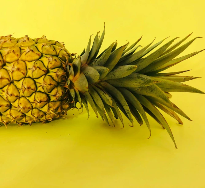 there is a large piece of pineapple sitting on the table