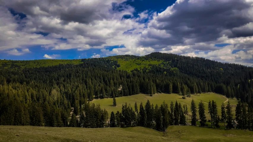 a green hillside on top of a lush green hillside