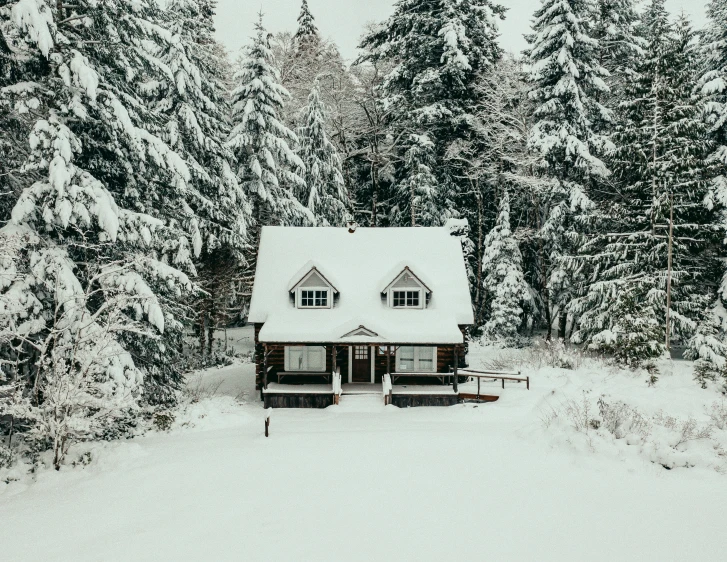 a house surrounded by snow covered trees on a snowy day