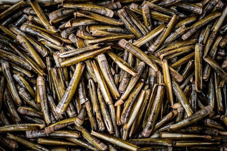 a basket full of some kind of small wooden sticks