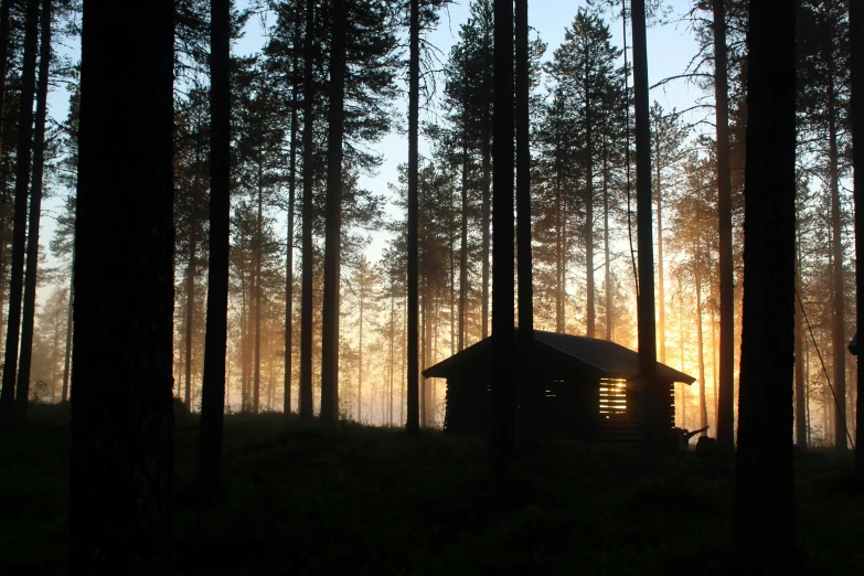 the house is in the forest near trees at sunset