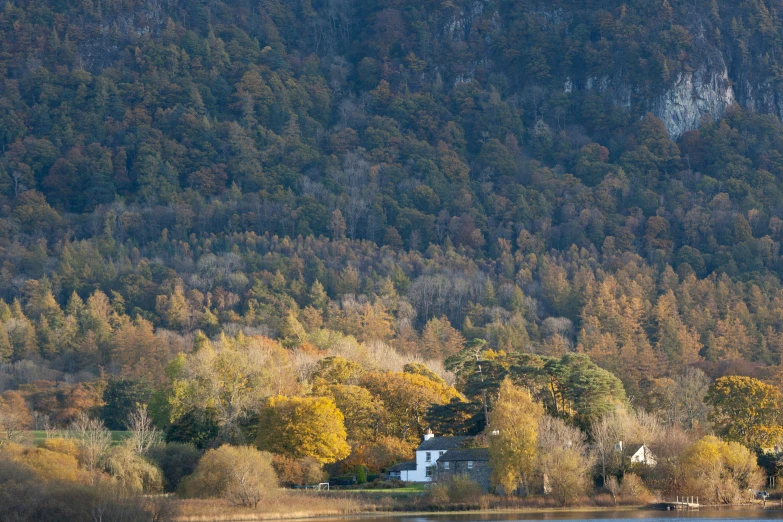 the shore of a large body of water surrounded by woods