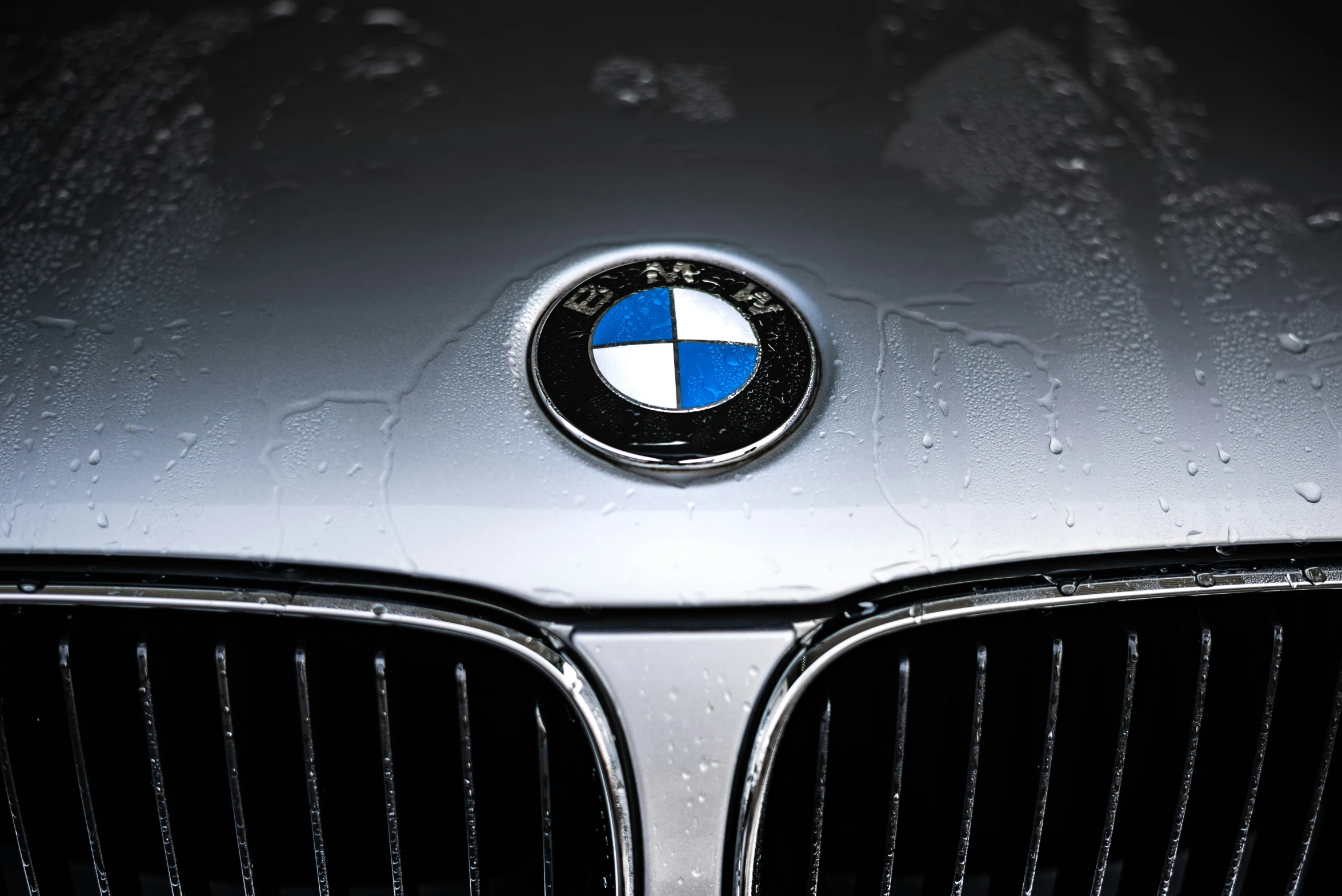 an image of a bmw logo on the hood of a car