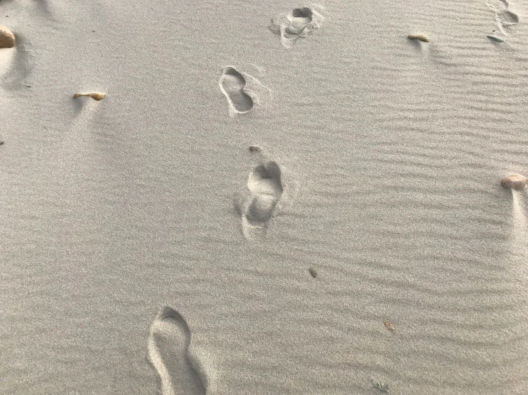 a person walking down the sand on the beach