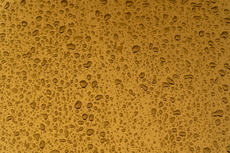 closeup of water droplets on a glass surface