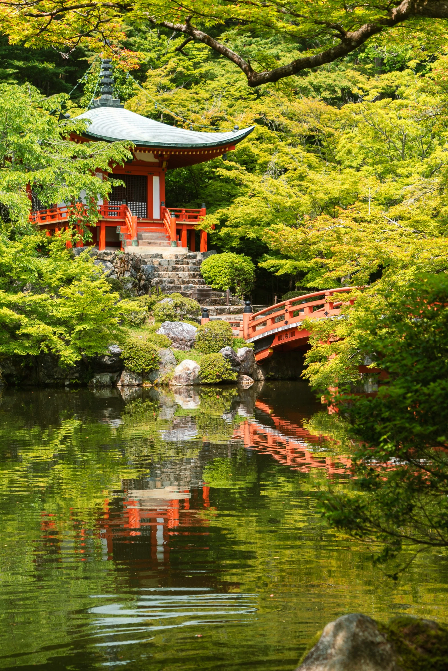 some water and trees and a small bridge