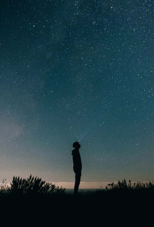 silhouette of person standing in field under the stars