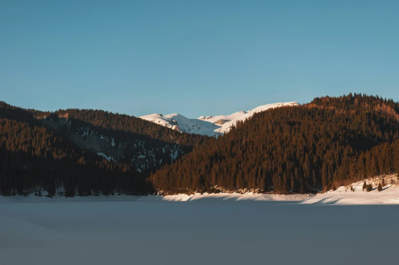 a snowy field with snow, evergreens, and mountains behind it