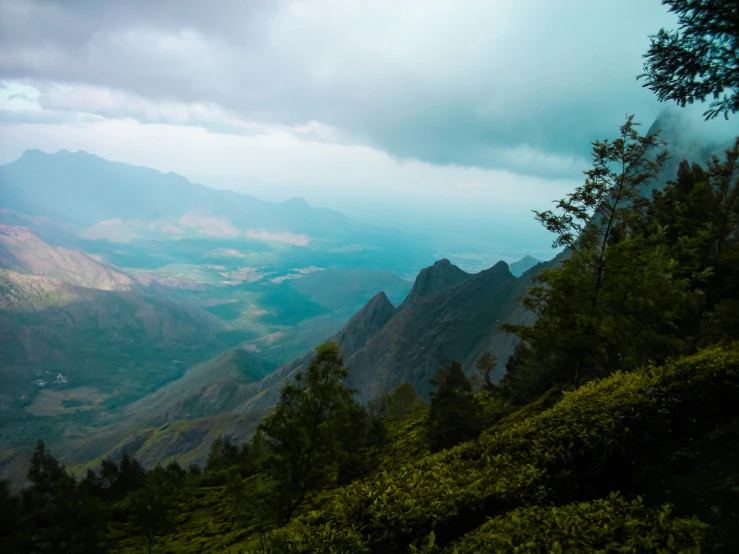 mountains covered in clouds and bushes next to them