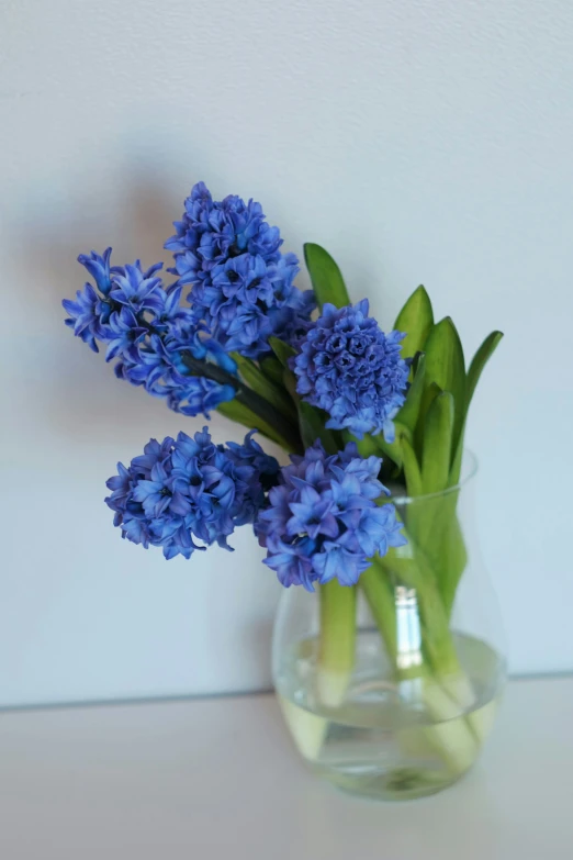 a glass vase filled with blue flowers on top of a table