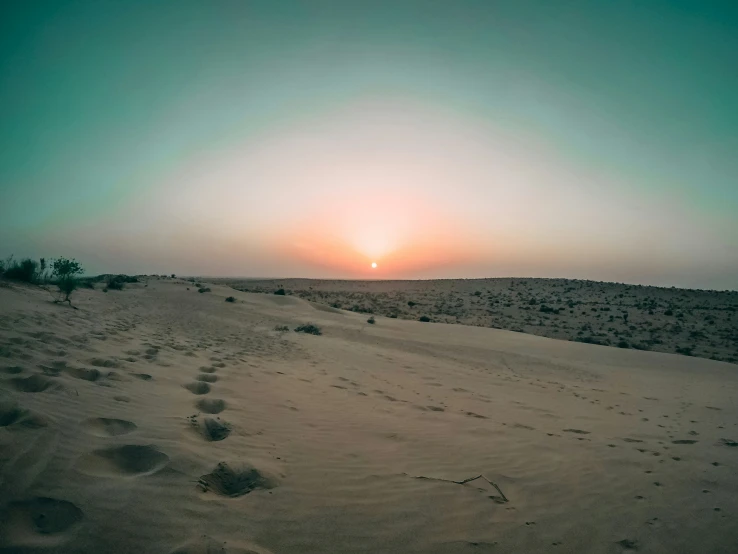 sun over a desert plain with trees in the foreground