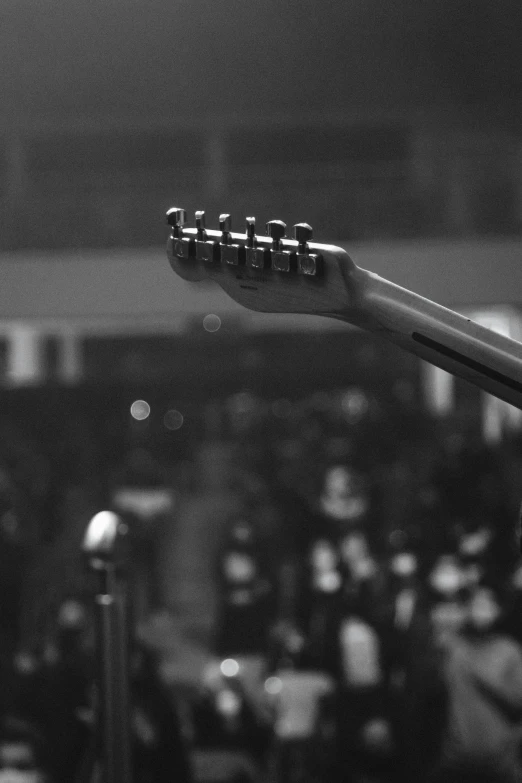 a close up image of the heads of a guitar