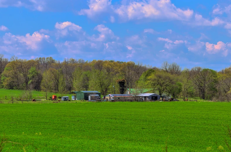 a green pasture with trees on either side