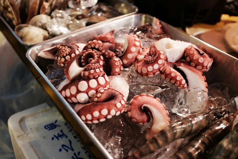 the octo are laid out on ice and ready for sale