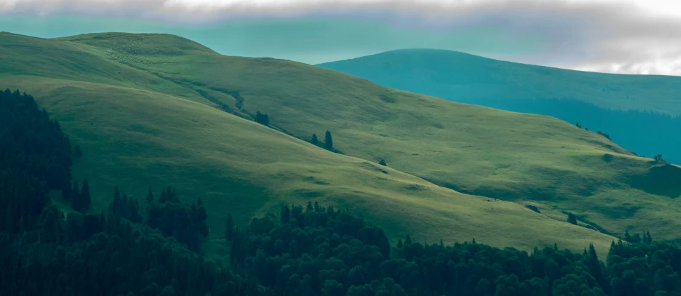 a lush green mountain with trees on it