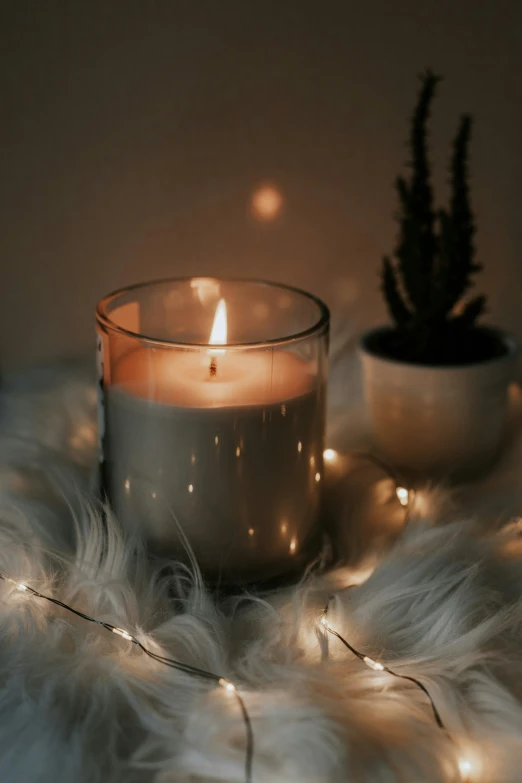 a lit candle is surrounded by a feather