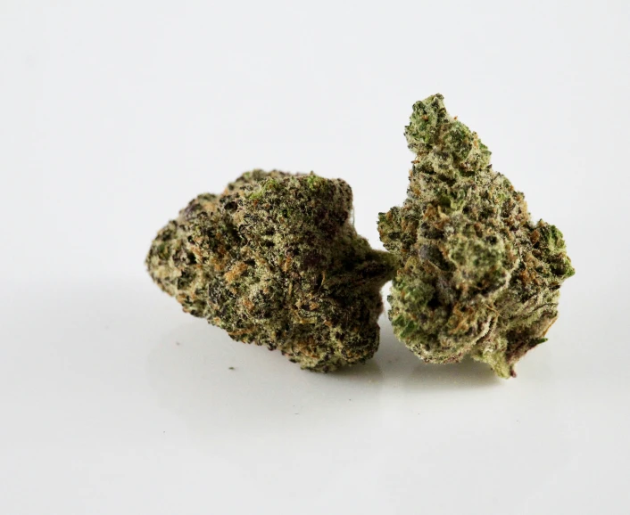 two weed buds lying side by side on a white background