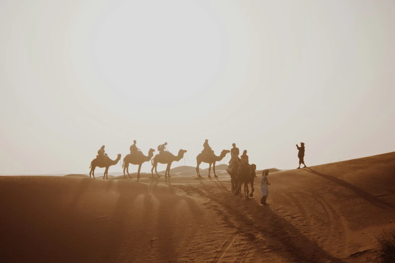 people on horseback traveling down a hill by themselves