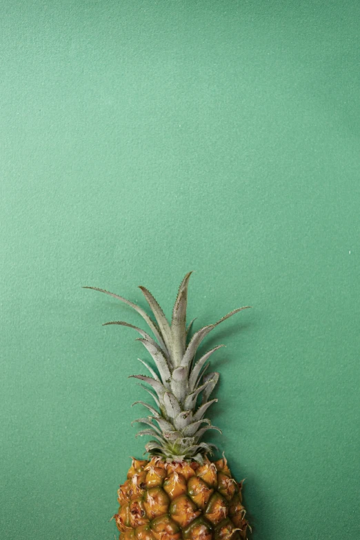 a pineapple hanging from a green wall