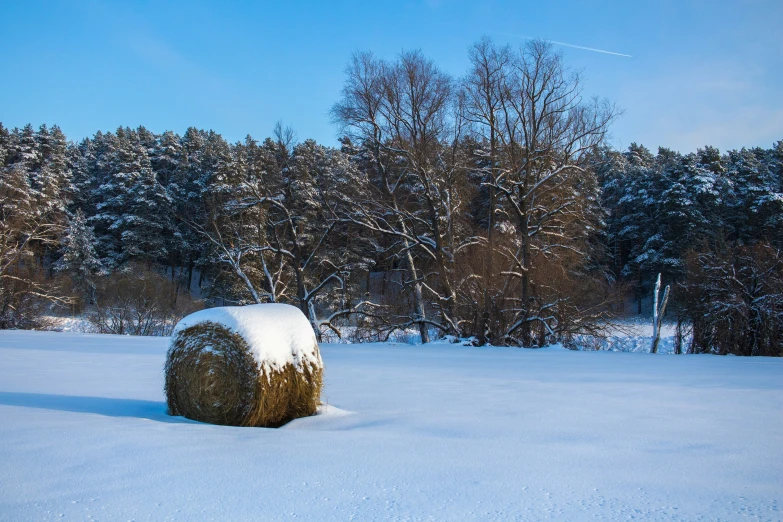 a bale of hay is covered in snow as trees stand nearby