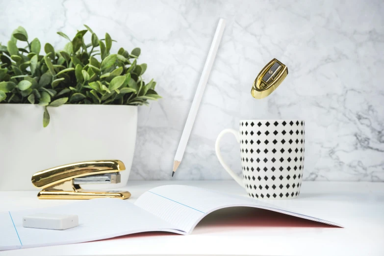 a mug, pen and notebook with a green plant on the desk