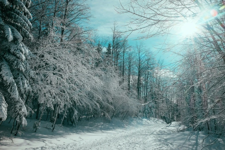 the sun shines brightly above snowy trees and snow - covered roads